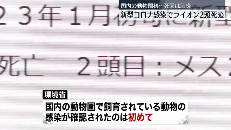 圖片8 圖片8