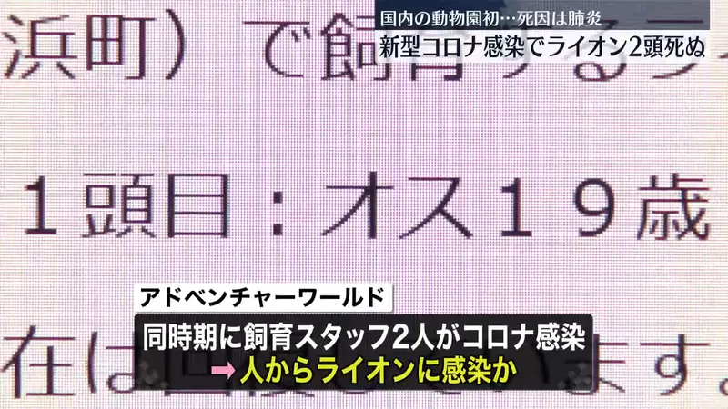 圖片7 圖片7
