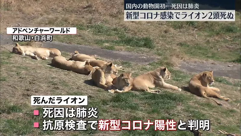 圖片5 圖片5