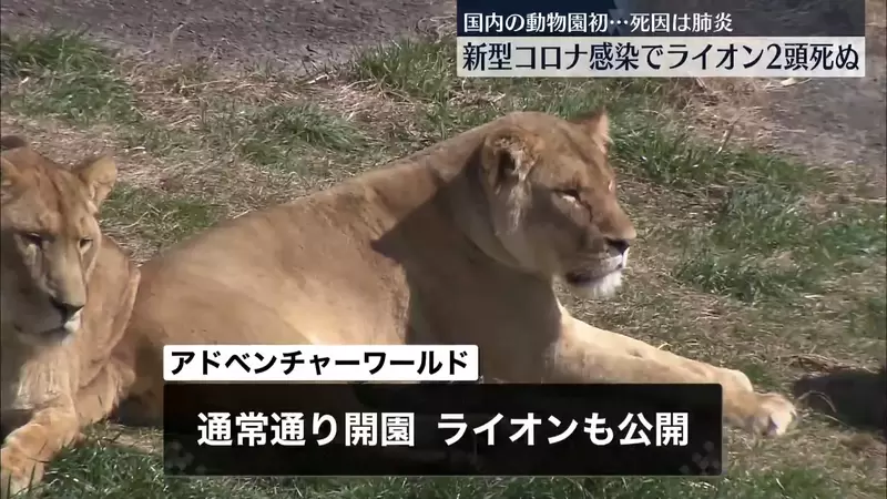 圖片9 圖片9