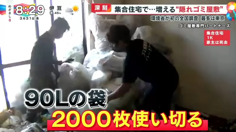 圖片12 圖片12