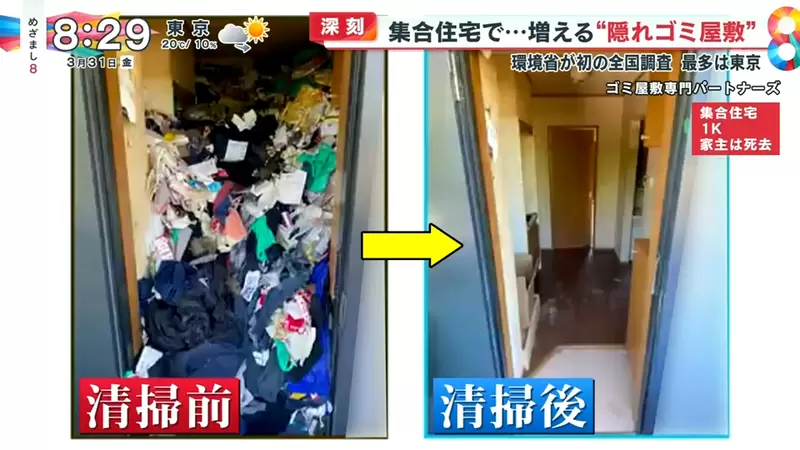 圖片13 圖片13