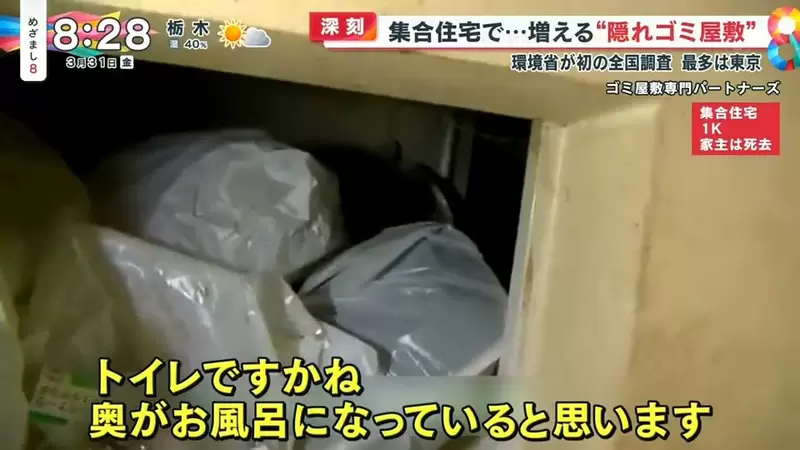 圖片11 圖片11