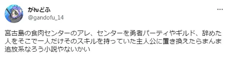 圖片11 圖片11