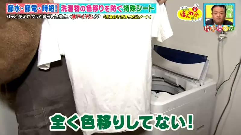《日本神奇洗衣吸色片》不希望衣服染色又懶得分開洗？放進一片這個萬事都解決 | 葉羊報報