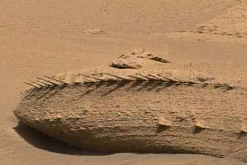 《火星發現不明巨大物體》網友猜測這該不會是某種生物的遺骸吧！？ | 葉羊報報