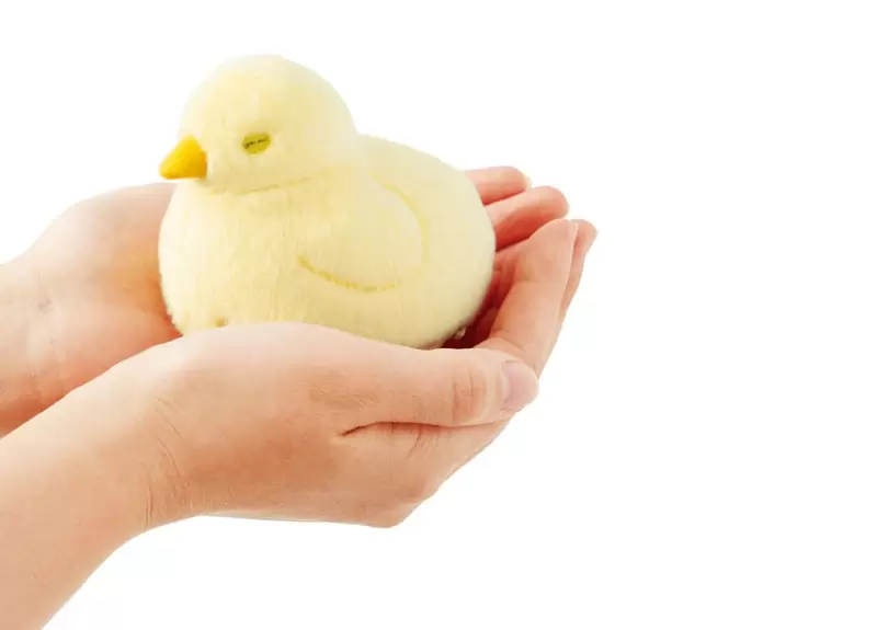 日本療癒小物《毛茸茸小雞收納包》還原破殼而出小小雞的模樣超可愛❤ | 葉羊報報