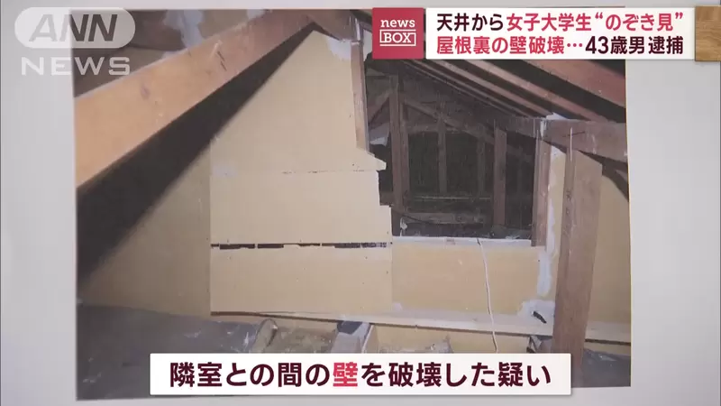 圖片5 圖片5