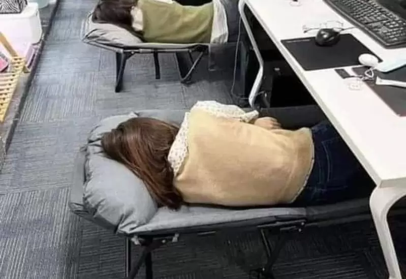 《這間公司血汗嗎》員工們躺在辦公室睡覺 不少日本網友覺得這樣非常有良心？ | 葉羊報報