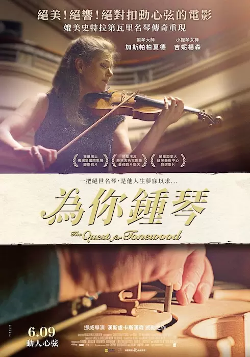 圖片6 圖片6