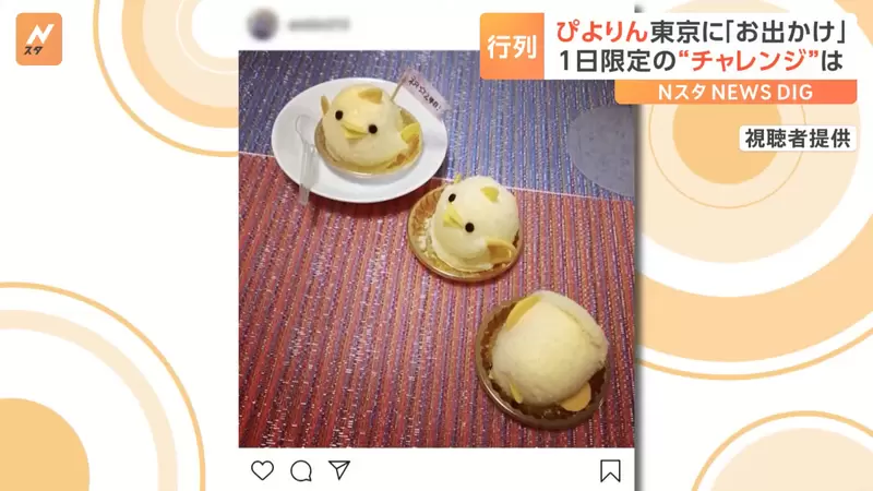 圖片6 圖片6