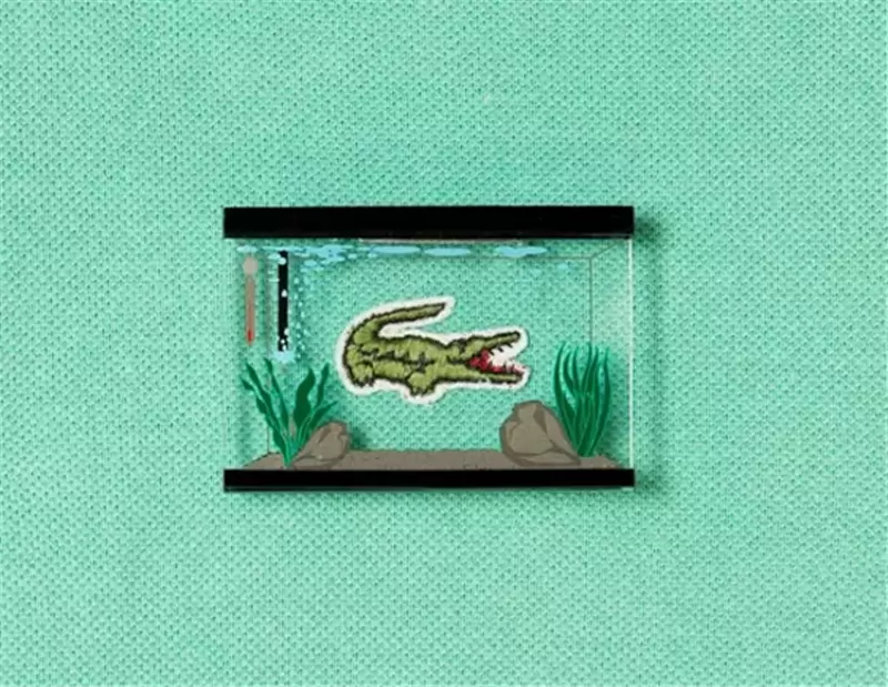 圖片6 圖片6