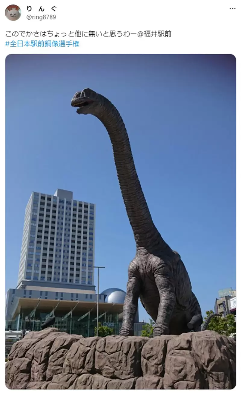 圖片11 圖片11