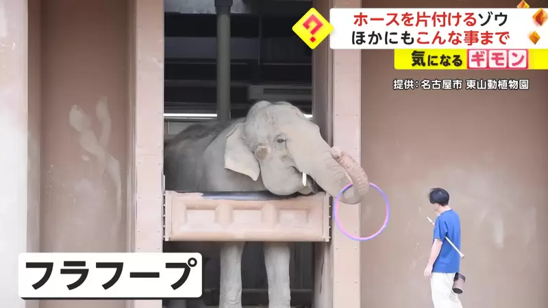 圖片7 圖片7