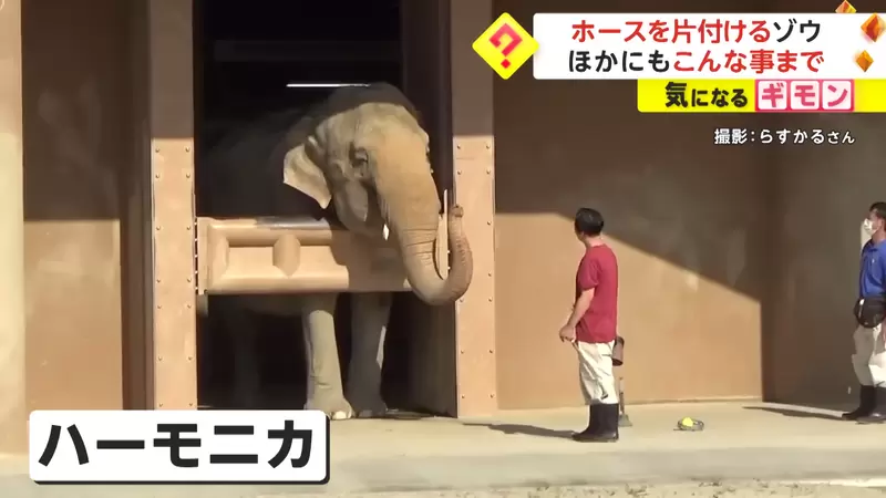 圖片9 圖片9