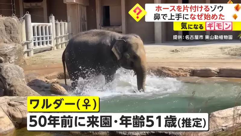 圖片5 圖片5