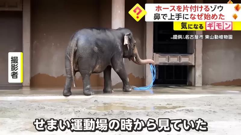 圖片6 圖片6