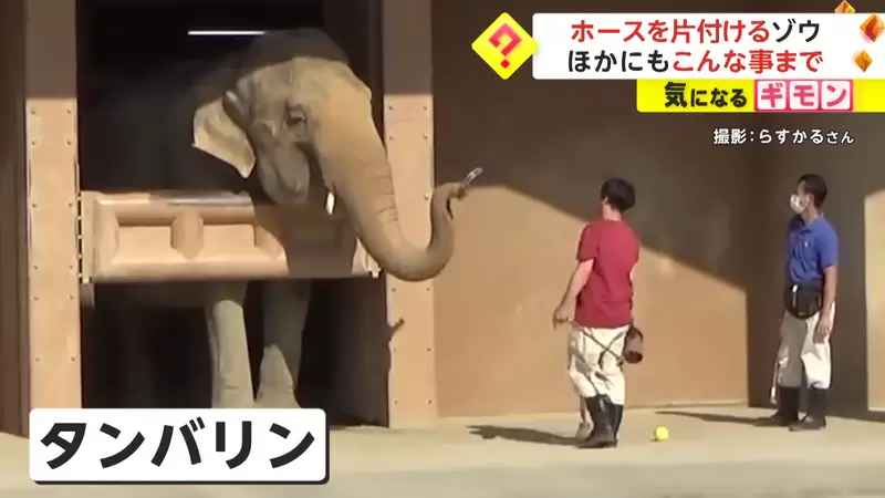 圖片8 圖片8