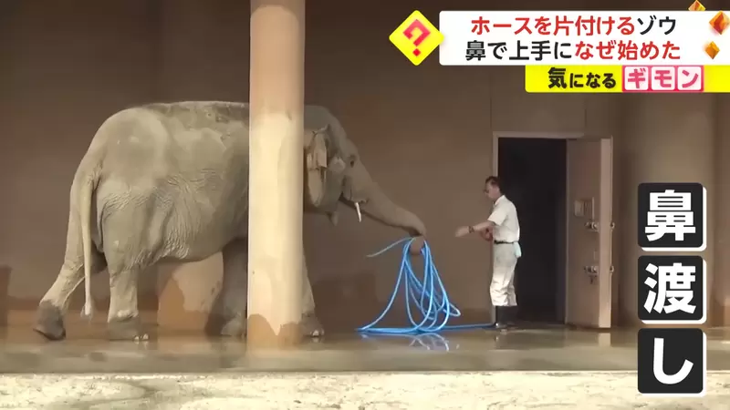 圖片4 圖片4