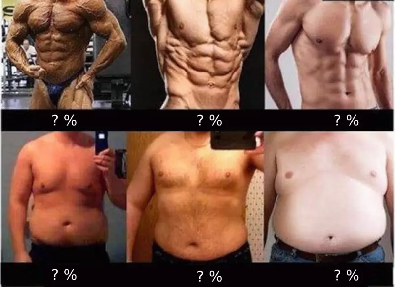 一秒看懂體脂肪對身材的影響《男子體脂圖鑑》你是幾％？喜歡幾％呢？ | 葉羊報報