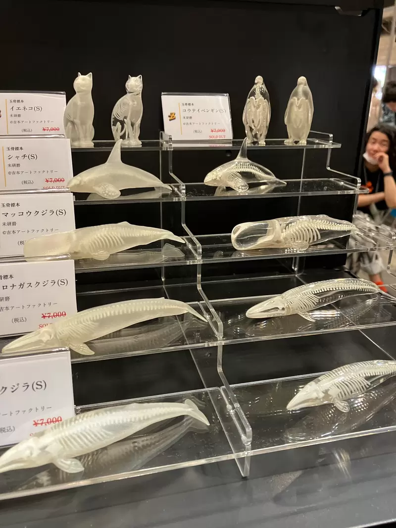 圖片4 圖片4