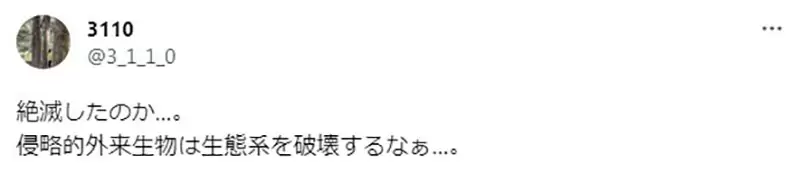 圖片5 圖片5