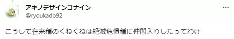 圖片8 圖片8