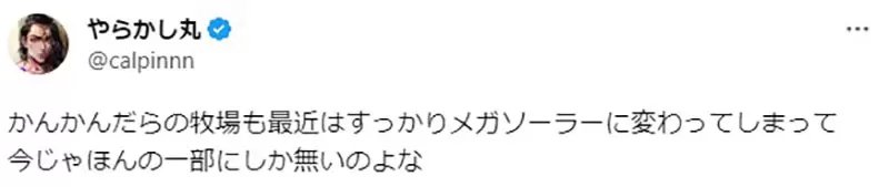圖片11 圖片11