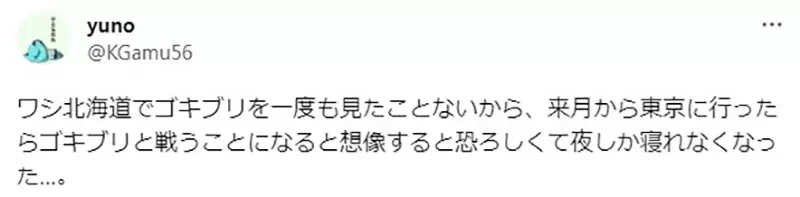 圖片11 圖片11