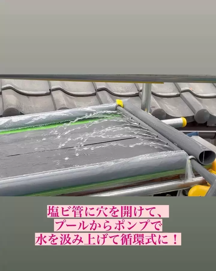 圖片5 圖片5