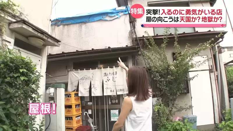 圖片13 圖片13