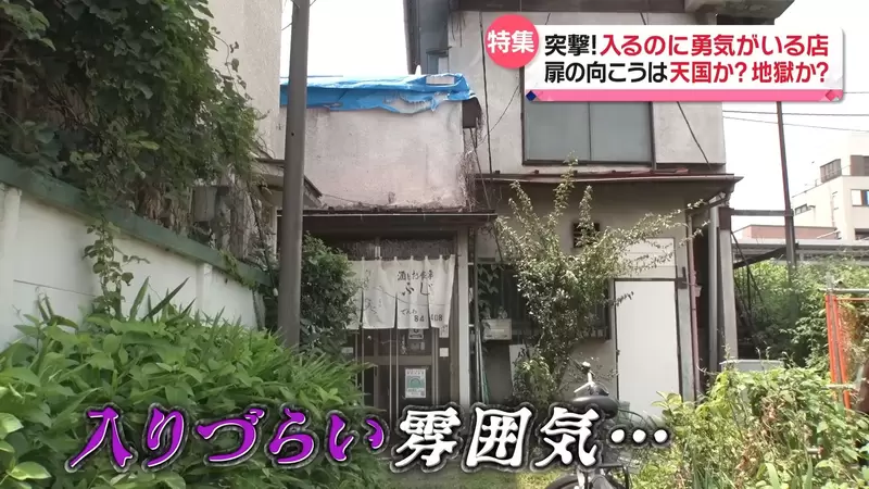 圖片15 圖片15