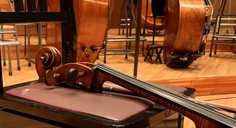 《讓大提琴家傻眼的一幕》不知情的人以為在說樂器的擺法 直到視線看向椅腳…… | 葉羊報報