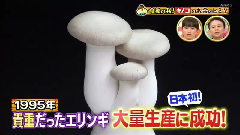 圖片5 圖片5