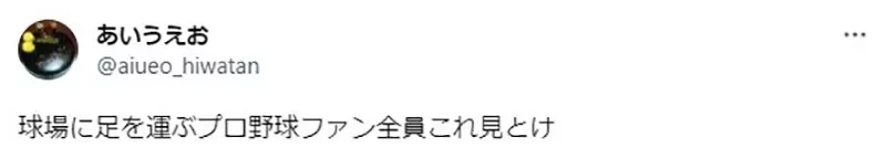 圖片11 圖片11