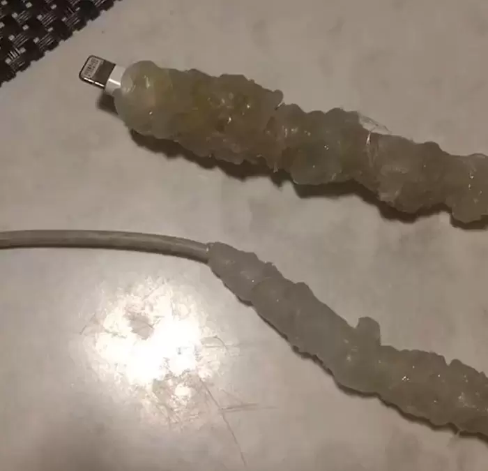 圖片12 圖片12