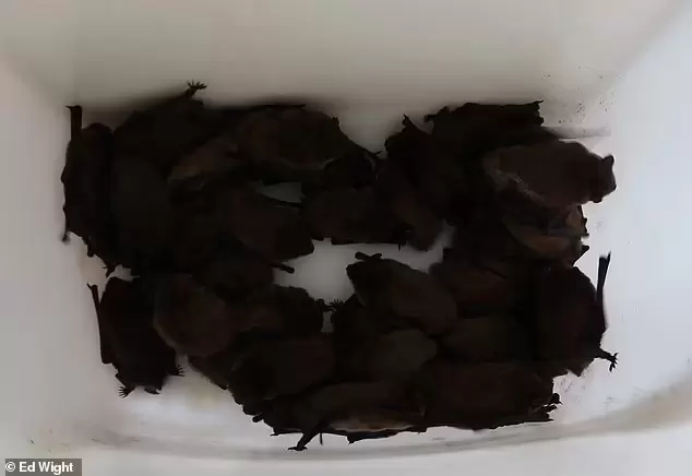 圖片6 圖片6