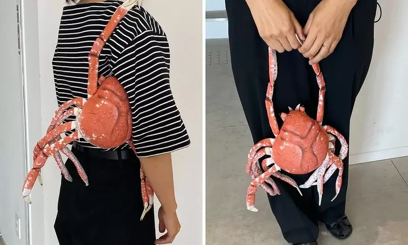 海鮮系小物《甘氏巨螯蟹玩偶》不管遠近看到都會嚇一跳的外觀設計，還可以扣起來揹在身上帶著走喔 | 葉羊報報