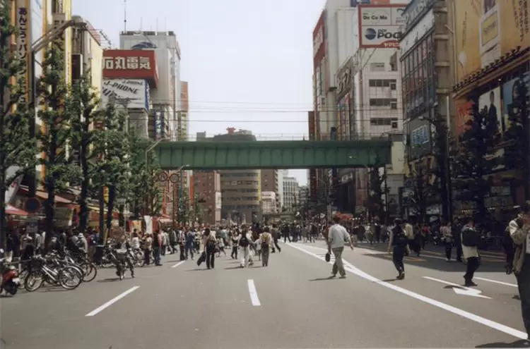 圖片25 圖片25
