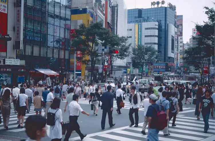 圖片11 圖片11
