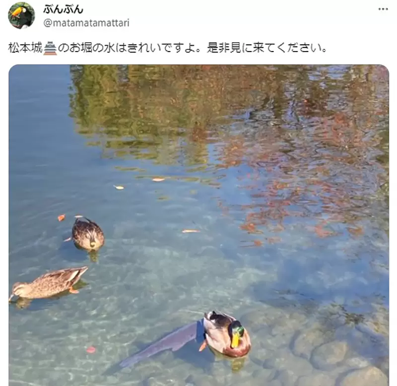 圖片6 圖片6