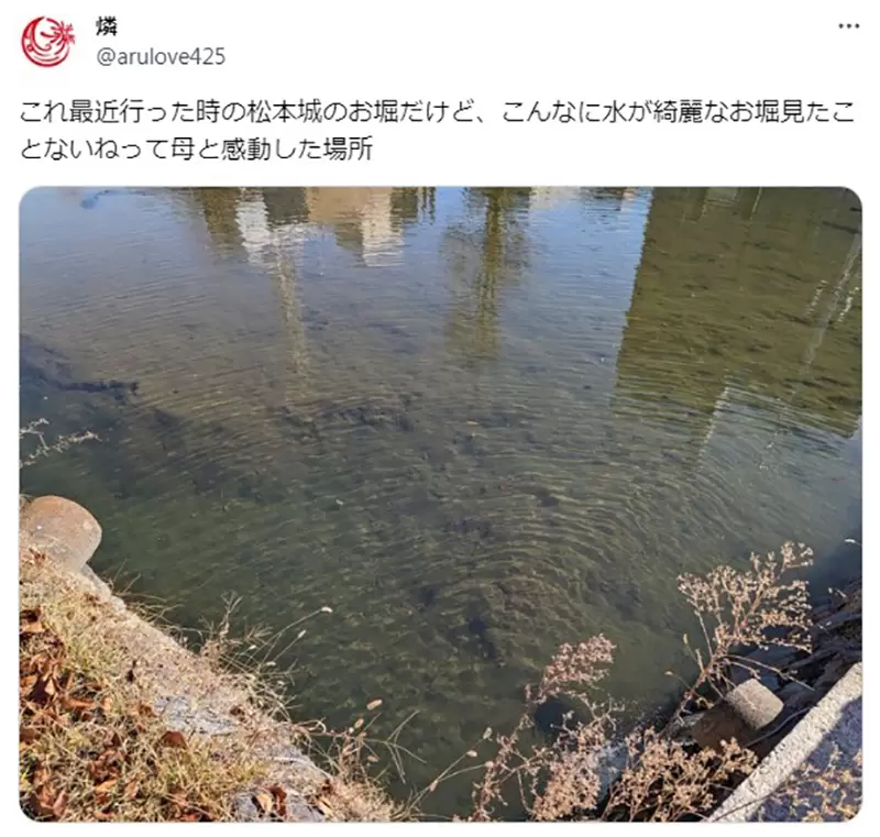 圖片7 圖片7