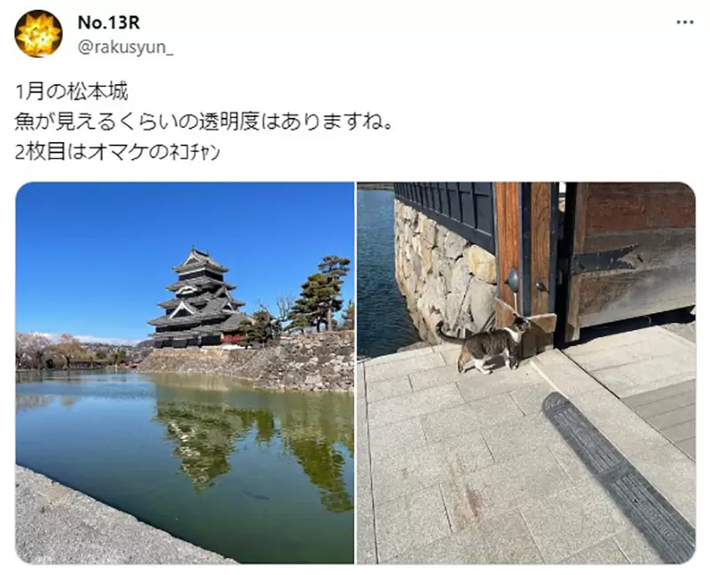 圖片9 圖片9
