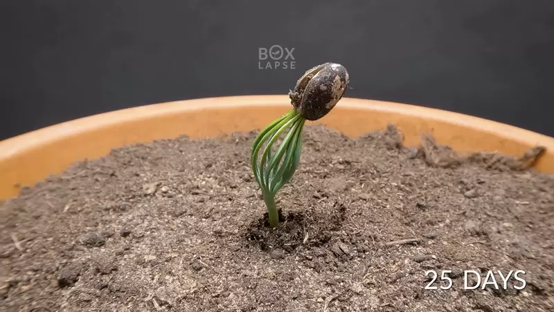 圖片4 圖片4