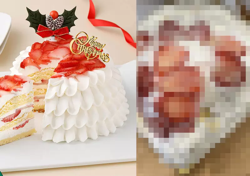 《購買宅配聖誕蛋糕的下場》送到手中早已稀巴爛 日本網友回報災情成為聖誕節慣例 | 葉羊報報