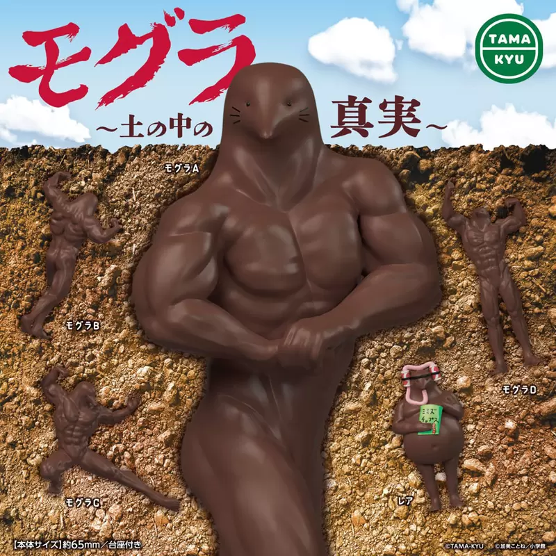 圖片4 圖片4