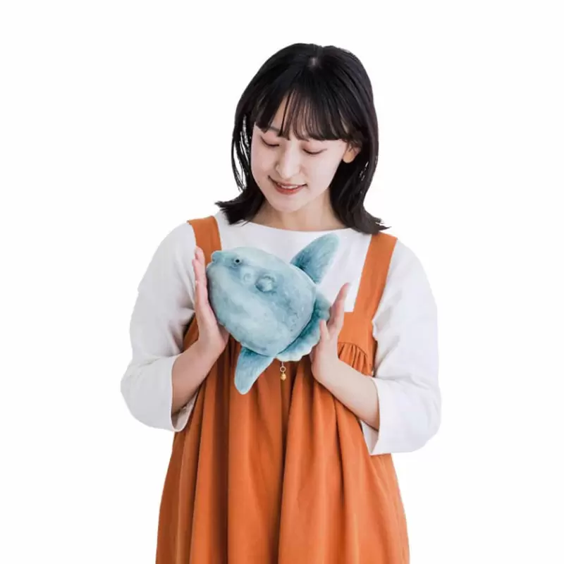 圖片15 圖片15