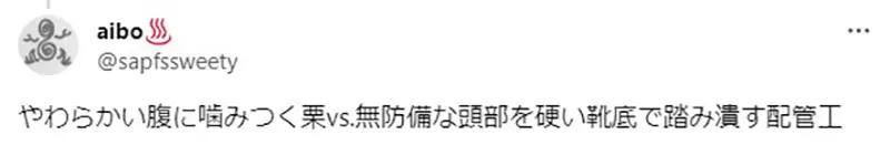 圖片11 圖片11