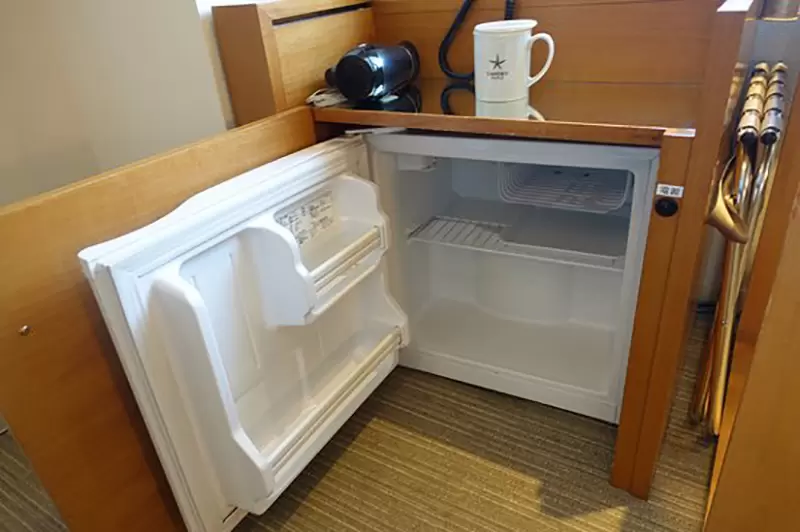 《小冰箱的妙用》用來製作過冷水超方便？住過飯店的網友們都有意外結冰的經驗 | 葉羊報報