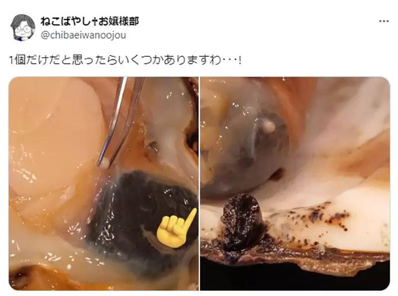 圖片6 圖片6